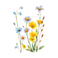 Set of delicate wildflowers in watercolor style. for patterns, greeting cards, branding and floral design. Vector.