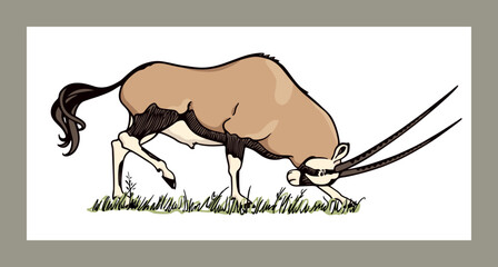 Vector card with hand drawn graceful male oryx with its head down, among savannah. Ink drawing, graphic style. Beautiful wild animal illustration