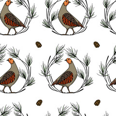 Vector seamless pattern with hand drawn Grey Partridges in pine wreath with cones. Beautiful illustration, ink drawing. Perfect for prints and patterns