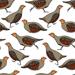Vector seamless pattern with hand drawn cute running Grey Partridges. Wildlife design elements, beautiful illustration, ink drawing. Perfect for prints and patterns