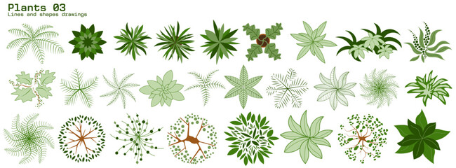 Trees and Plants CAD Drawings top view, Editable vector on white background, landscape design, architectural projects, elements for environment and garden.  © Tech LAB