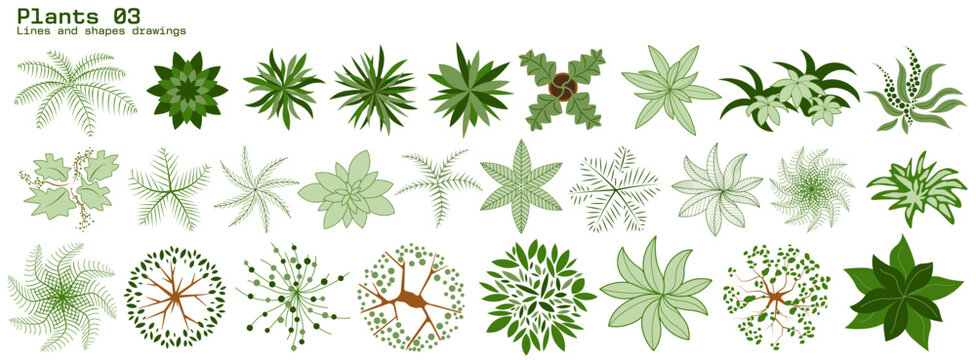 Trees and Plants CAD Drawings top view, Editable vector on white background, landscape design, architectural projects, elements for environment and garden.	