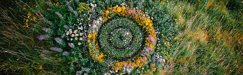 AI Generated - Field of wildflowers with a circle in the middle, surrounded by lush green grass. Professional stock photography. Stock photo. High-resolution. High-res. Premium quality. Premium.