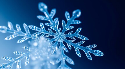 Ultra-realistic, a macro view of a snowflake, crystalline structure, icy blues and whites, sharp focus, isolated subject