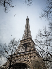 La tour eiffel &agrave; Paris en fin d'automne