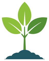 Young Plant Seedling Sprouting from Soil Representing Growth and Ecology