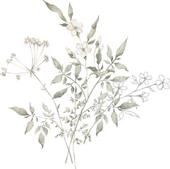 Watercolor bouquet with wild plants and flowers. Meadow dried wildflowers. Elegant ethereal nature, floral arrangement