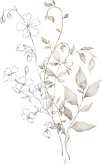 Watercolor bouquet with wild plants and flowers. Meadow dried wildflowers. Elegant ethereal nature, floral arrangement