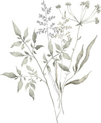 Watercolor bouquet with wild plants and flowers. Meadow dried wildflowers. Elegant ethereal nature, floral arrangement