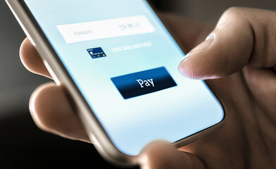 Payment. Pay with wallet in mobile app. E money transfer with phone. Easy smartphone bank service. Card purchase online. Safe secure technology in ecommerce.