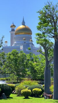 Brunei Darussalam - June 25, 2025: Sultan Omar Ali Saifuddin Mosque in Bandar Seri Begawan. Mosque with baobab trees in the foreground. Mosque facade and dome in sunlight. 4К
