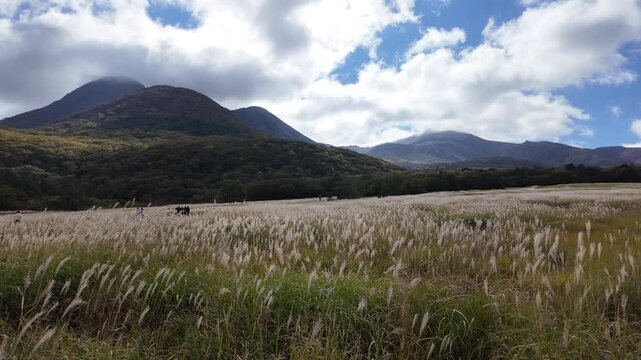 長者原タデ原湿原に広がる秋のススキ草原と山並みの高原風景