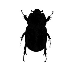 Black silhouette of a scarab beetle vector on white background. Graphic Bug insect hand drawn. Shadow May bug illustration for design element or stickers. Monochrome sign of beetle.