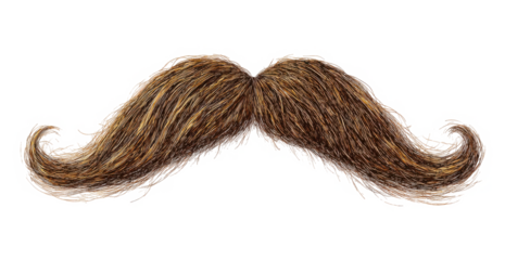 Classic brown handlebar mustache for a vintage, retro, or old-fashioned look isolated on a transparent background
