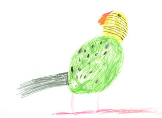 A green budgie drawn in a childish style. A child's drawing done with colored pencils.