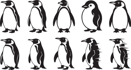 Fototapeta premium Collection of ten black silhouette penguin icons in various poses and styles Keywords: penguin, silhouette, icon, animal, wildlife, bird, nature, graphic, design, element, illustration, black and