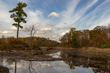 Landscape along the Sussex Branch Trail in Kittatinny Valley State Park, NJ