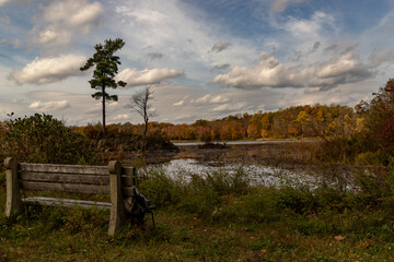 Landscape along the Sussex Branch Trail in Kittatinny Valley State Park, NJ