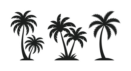 Obraz premium Three distinct black palm tree silhouettes are isolated on a white background, evoking tropical summer and vacation concepts