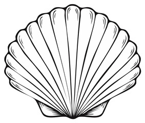 Detailed black and white illustration of a scallop shell
