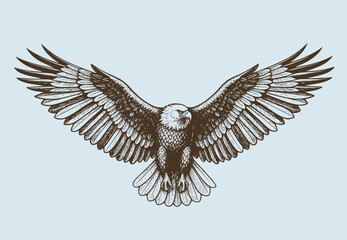eagle flying ,sketch vector graphics monochrome illustration , Engraving