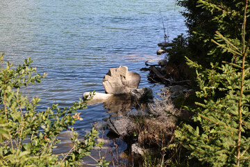 View of the surface of Strbske pleso, High Tatras, Slovakia.