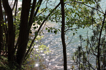 View of the surface of Strbske pleso, High Tatras, Slovakia.