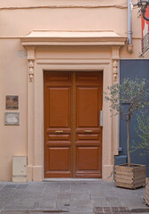 Potted Olive Tree in Front of Double Wooden Door Building Entrance from Street