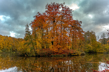 Ein Spaziergang im Herbst durch den Wald am Teich vorbei.