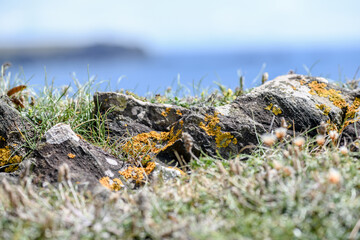 Hiking through rocky terrain in Cornwall