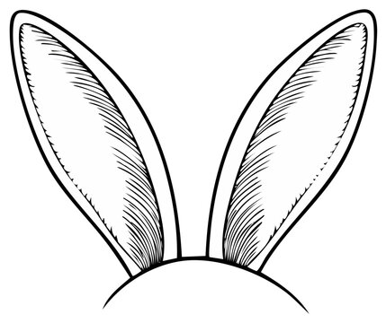 Hand drawn Easter bunny ears in a vintage line art sketch style illustration