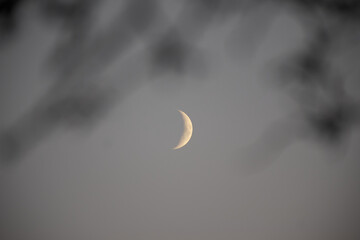 beautiful moon in the sky