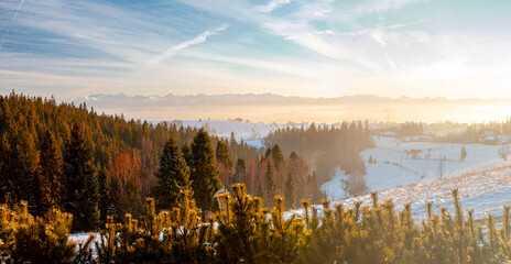 winter sunrise over snowy forest and village horizon in tranquil Tatras mountain morning scene
