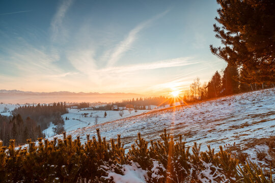 Golden sunset over snowy hills with pine trees and farmland at dusk