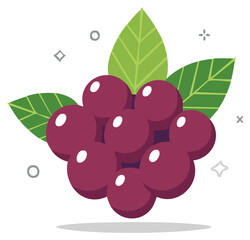 Stylized Purple Grapes with Leaves, Fruit Illustration for Farm Produce