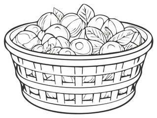 Fototapeta premium Apples and Leaves in a Woven Basket Coloring Page for Children