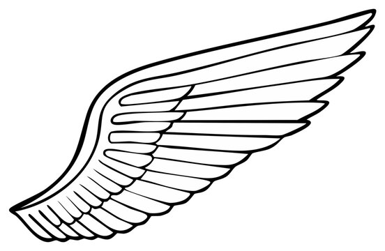 Detailed Black Outline Graphic of a Stylized Single Wing with Feathers