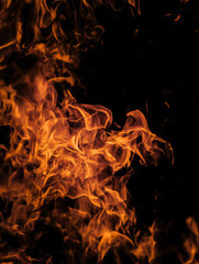 Dynamic Fire Flames on Black Background