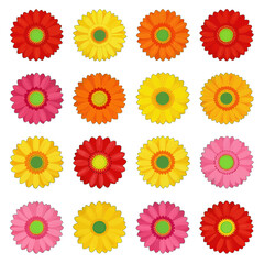 Colorful Vector Flowers in Bright Vibrant Shades