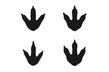 Footprints of a large bird found in the sand at a natural site during the early morning light