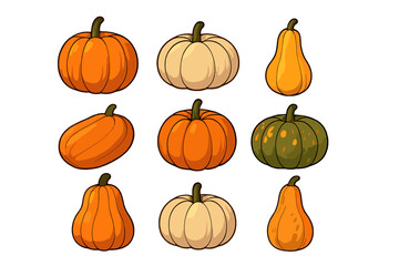 Variety of colorful pumpkins arranged in a fun pattern perfect for fall decorations and seasonal harvest themes