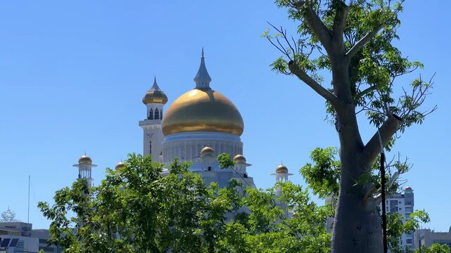 Brunei Darussalam - June 25, 2025: Sultan Omar Ali Saifuddin Mosque in Bandar Seri Begawan. Mosque with baobab trees in the foreground. Mosque facade and dome in sunlight. 4К
