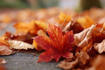 Close-up image of dry brown and orange leaves in a pile
