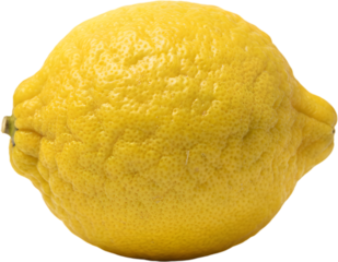 Whole fresh yellow lemon fruit with bumpy skin texture isolated on white background suitable for household cleaning product labels or culinary recipe blogs.