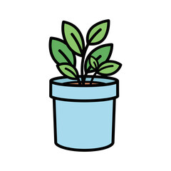 Obraz premium Potted plant with green leaves, indoor gardening and home decor nature care