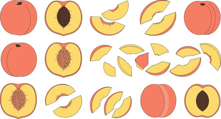 Hand Drawn Peach Fruit Collection with Whole Halves and Slice Pieces Decorative Flat Vector Illustration Set