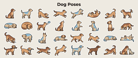 Fototapeta premium Dog poses icon set. containing sitting, standing, playing, sleeping, sniffing, jumping, barking, rolling, digging, stretching. Vector collection