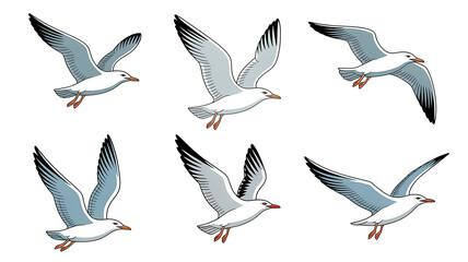 Graceful seagulls gracefully soaring in formation, evoking a sense of coastal freedom, ideal for nautical designs, breezy vacation promotions, and marine-themed art projects