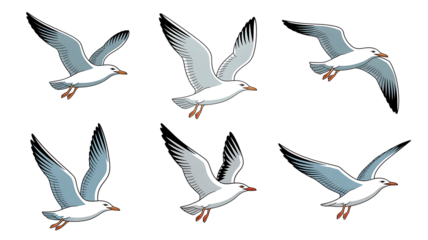 Graceful seagulls gracefully soaring in formation, evoking a sense of coastal freedom, ideal for nautical designs, breezy vacation promotions, and marine-themed art projects