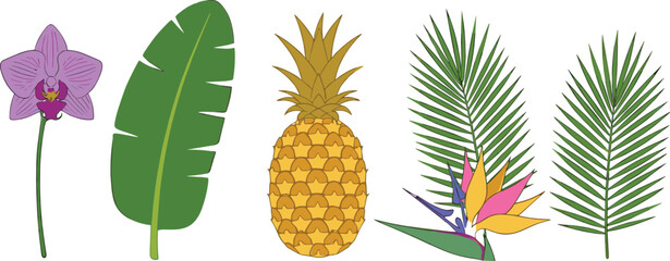 Tropical botanical vector illustration set with pineapple palm leaves orchid and bird of paradise flowers